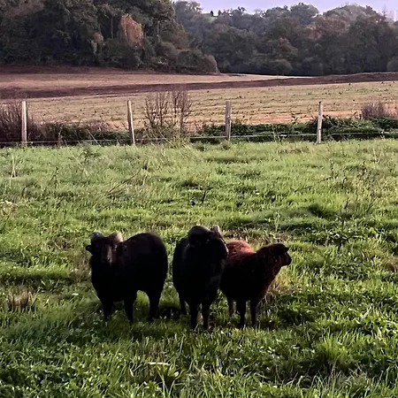 - St Ceneri - Alpes Mancelles Vakantiehuis