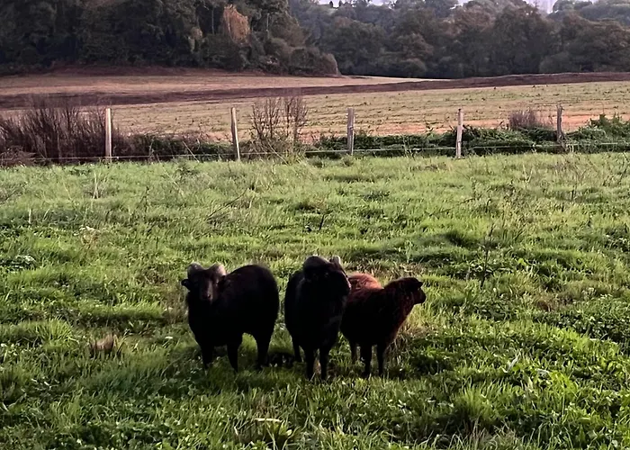 - St Céneri - Alpes Mancelles Сasa de vacaciones